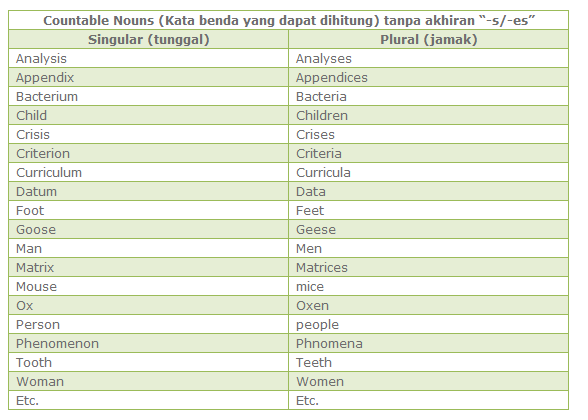 Detail Contoh Singular And Plural Nomer 2