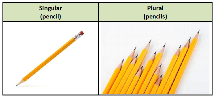 Detail Contoh Singular And Plural Nomer 10
