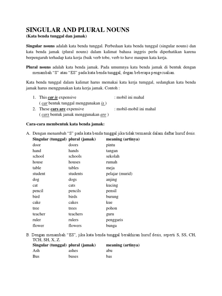 Detail Contoh Singular And Plural Nomer 12