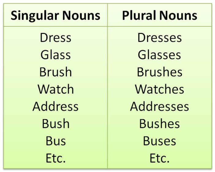 Detail Contoh Singular And Plural Nomer 15