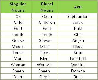 Detail Contoh Singular And Plural Nomer 16