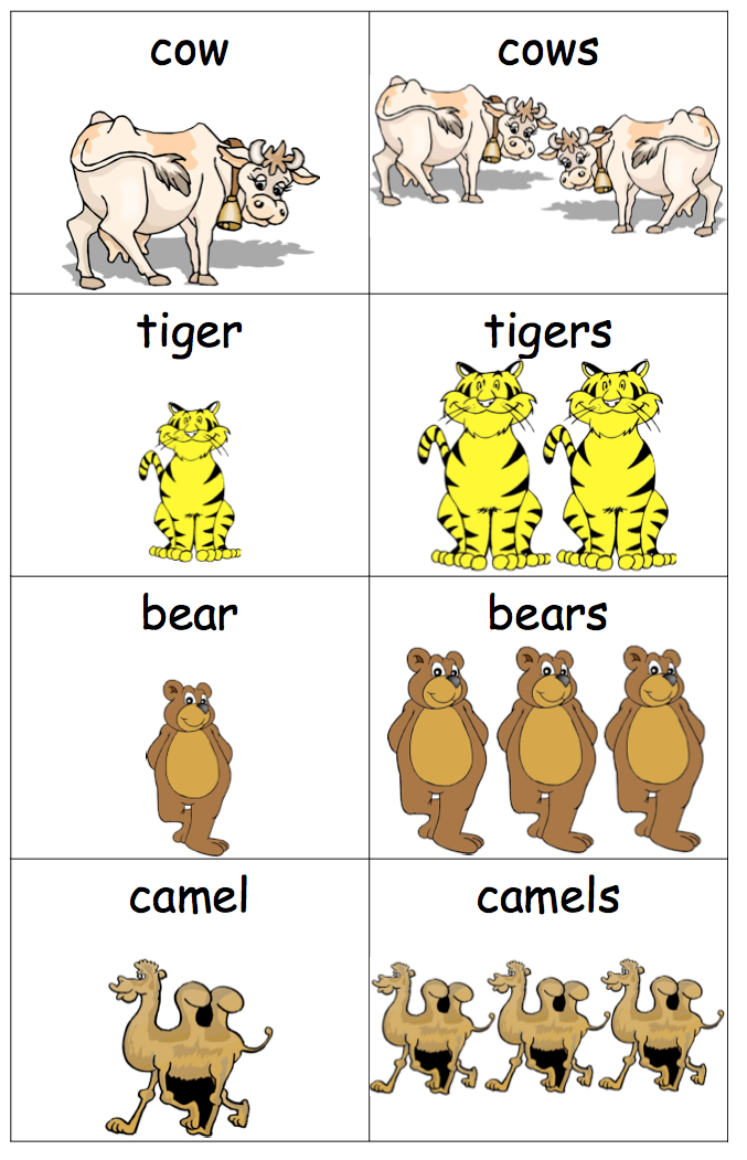 Detail Contoh Singular And Plural Nomer 18