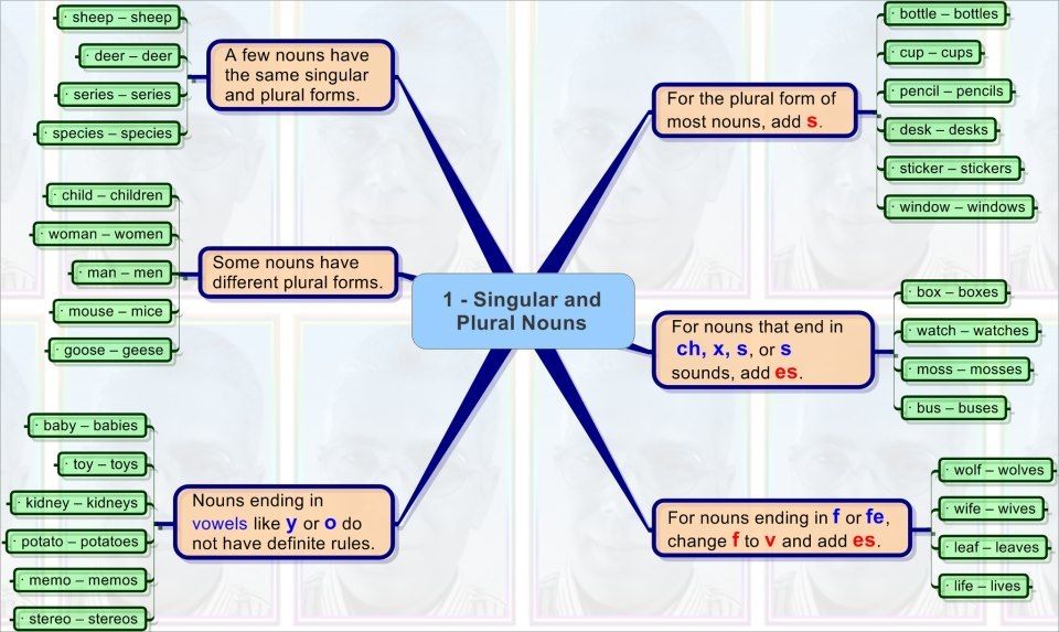 Detail Contoh Singular And Plural Nomer 19