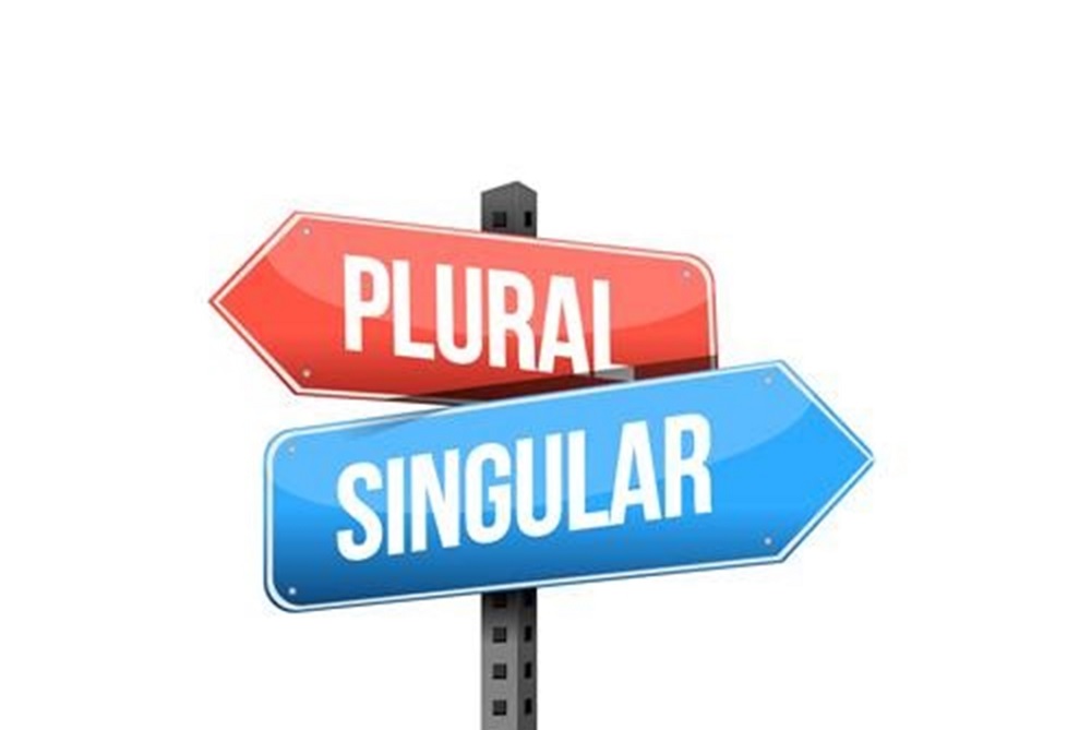 Detail Contoh Singular And Plural Nomer 23