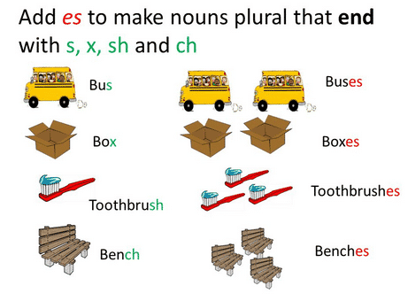 Detail Contoh Singular And Plural Nomer 24
