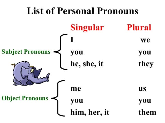 Detail Contoh Singular And Plural Nomer 3