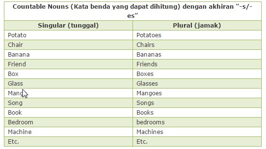 Detail Contoh Singular And Plural Nomer 4