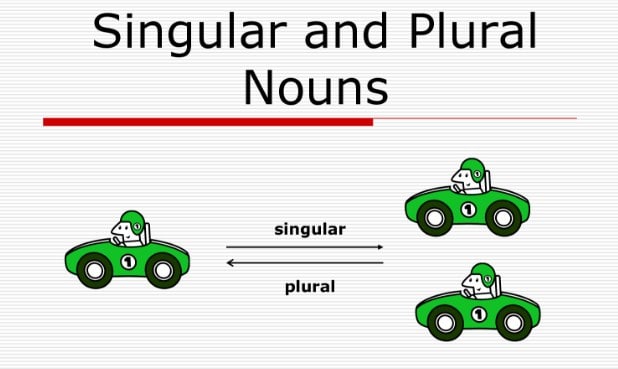 Detail Contoh Singular And Plural Nomer 37