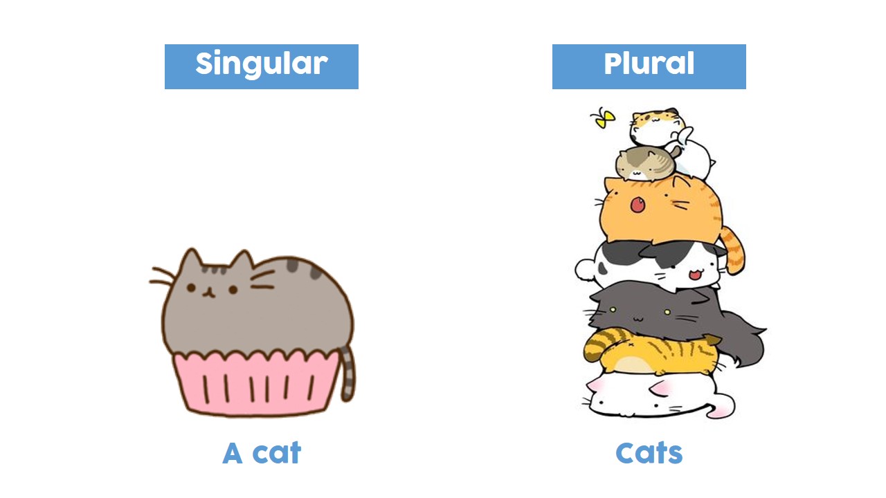 Detail Contoh Singular And Plural Nomer 40