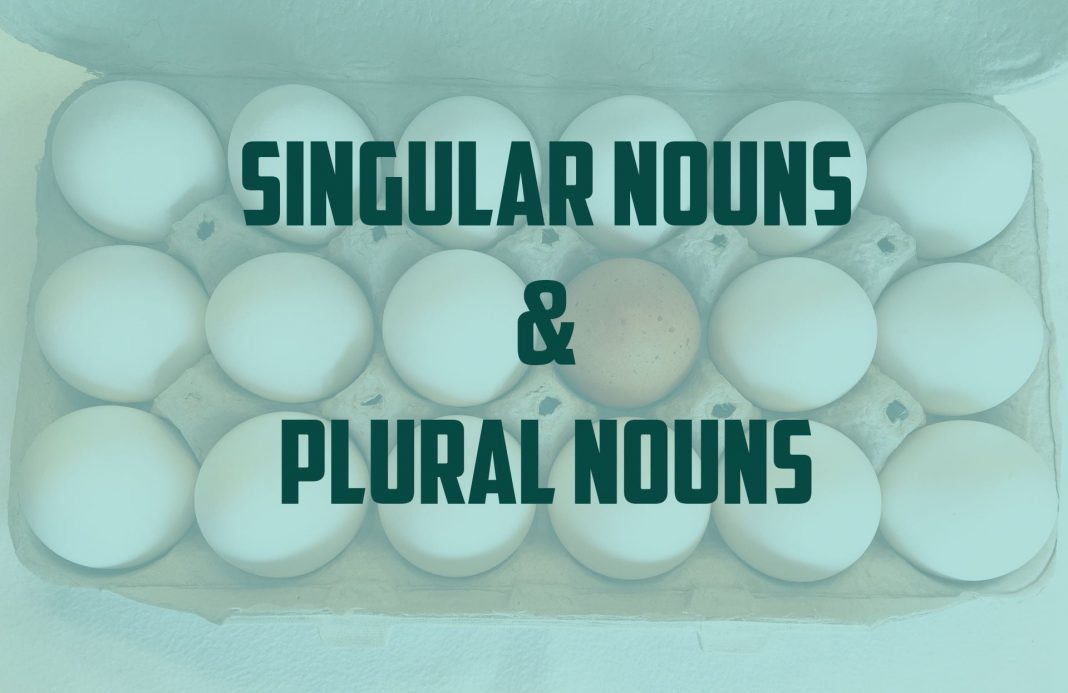 Detail Contoh Singular And Plural Nomer 41