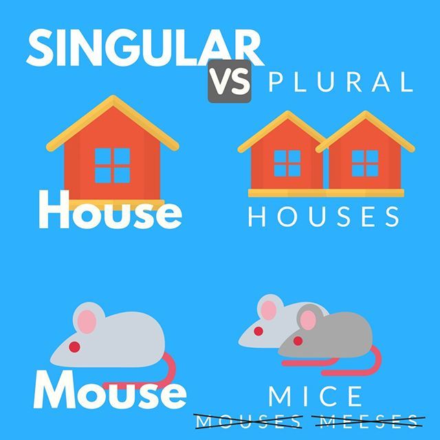 Detail Contoh Singular And Plural Nomer 42