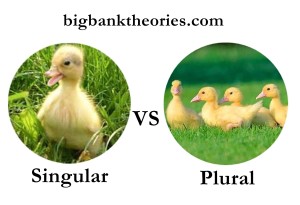 Detail Contoh Singular And Plural Nomer 43