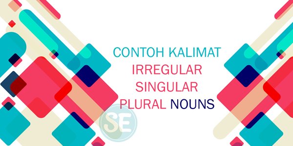 Detail Contoh Singular And Plural Nomer 49