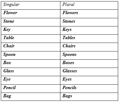 Detail Contoh Singular And Plural Nomer 6