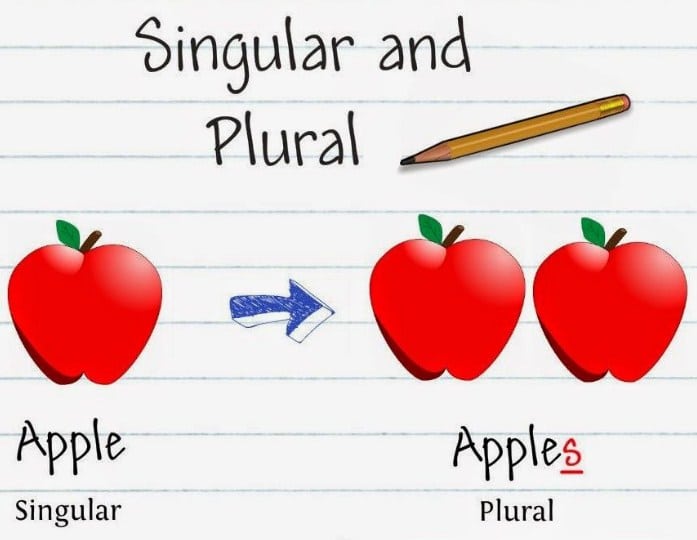 Detail Contoh Singular And Plural Nomer 8