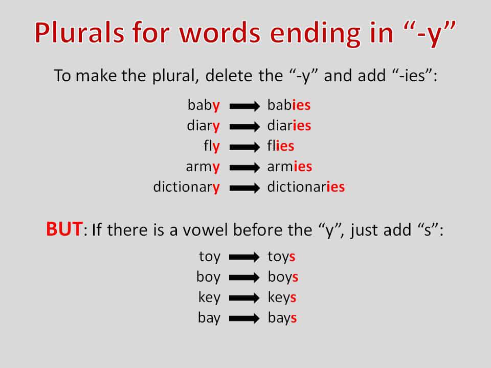 Detail Contoh Singular And Plural Nomer 9