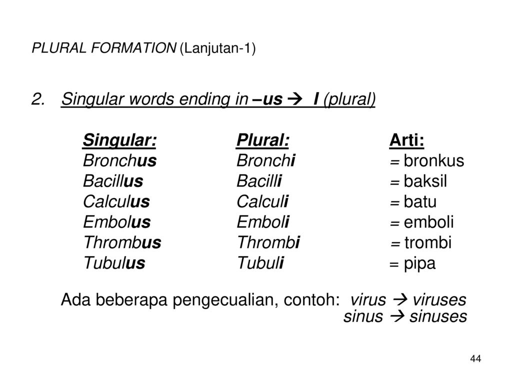 Detail Contoh Singular Dan Plural Nomer 34