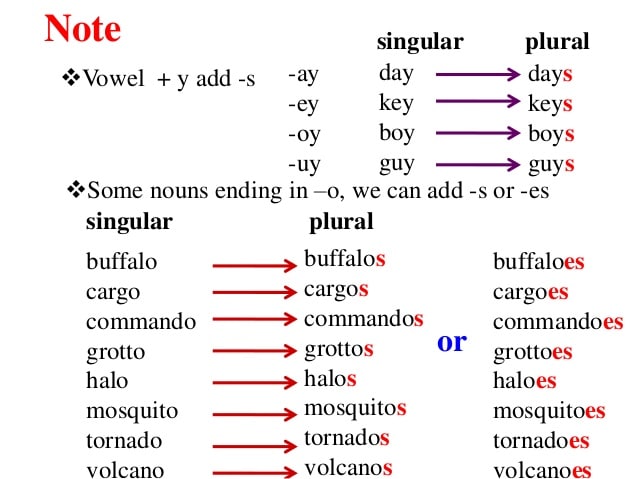 Detail Contoh Singular Dan Plural Nomer 39