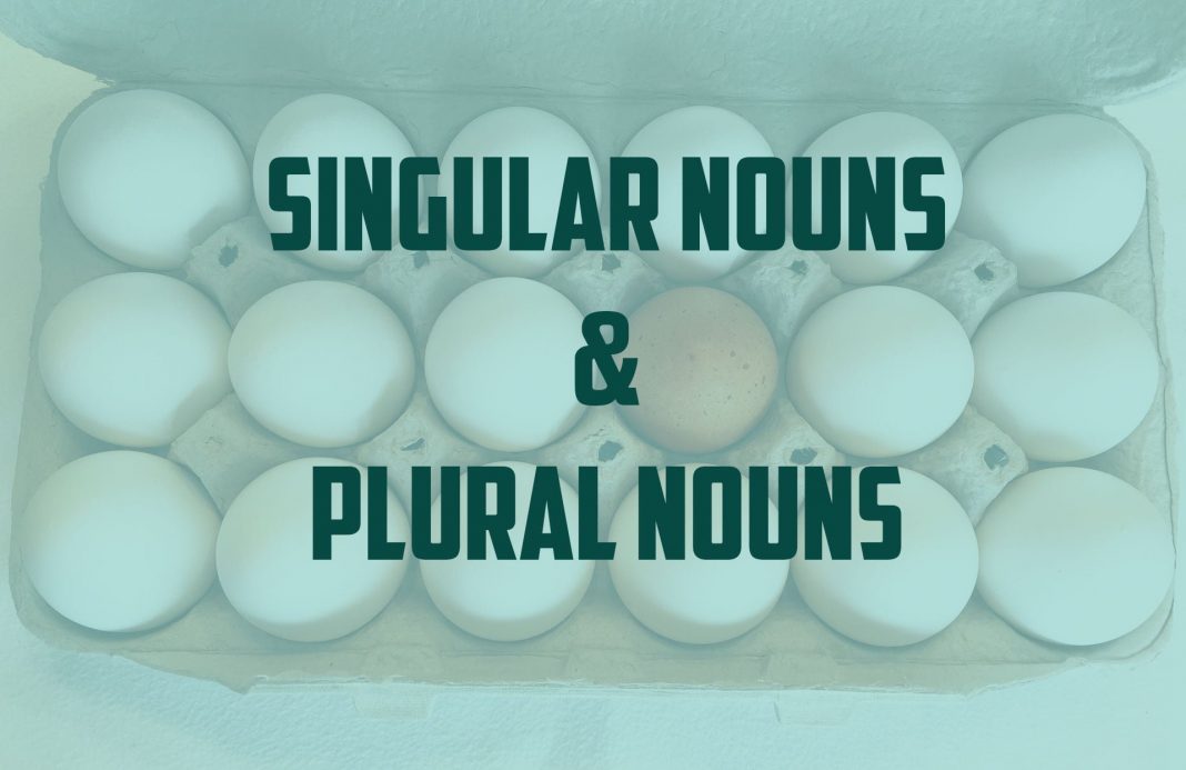 Detail Contoh Singular Noun Nomer 38