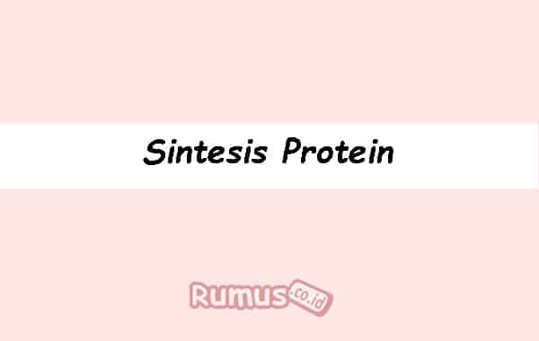 Detail Contoh Sintesis Protein Nomer 27