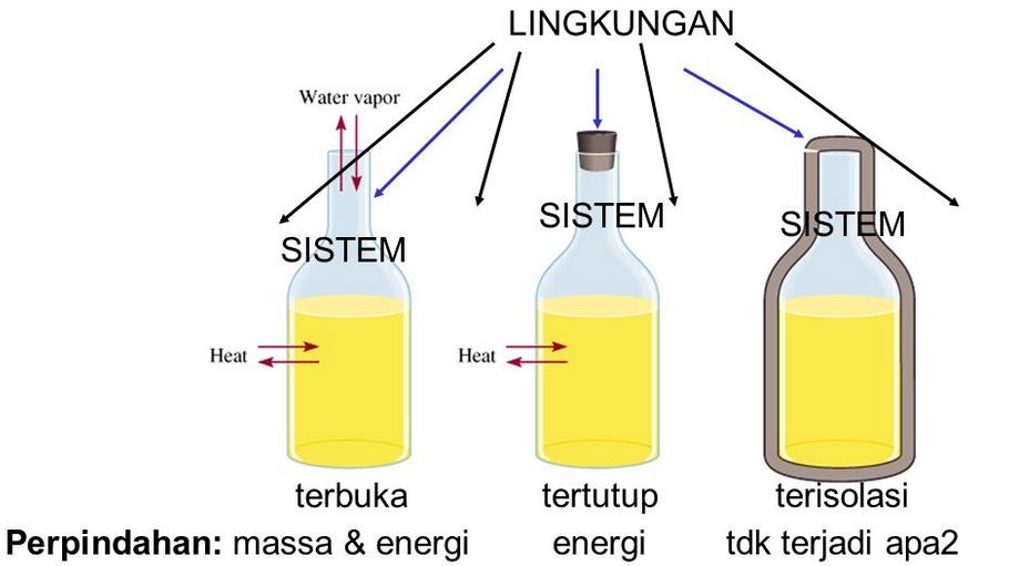 Detail Contoh Sistem Dan Lingkungan Nomer 16