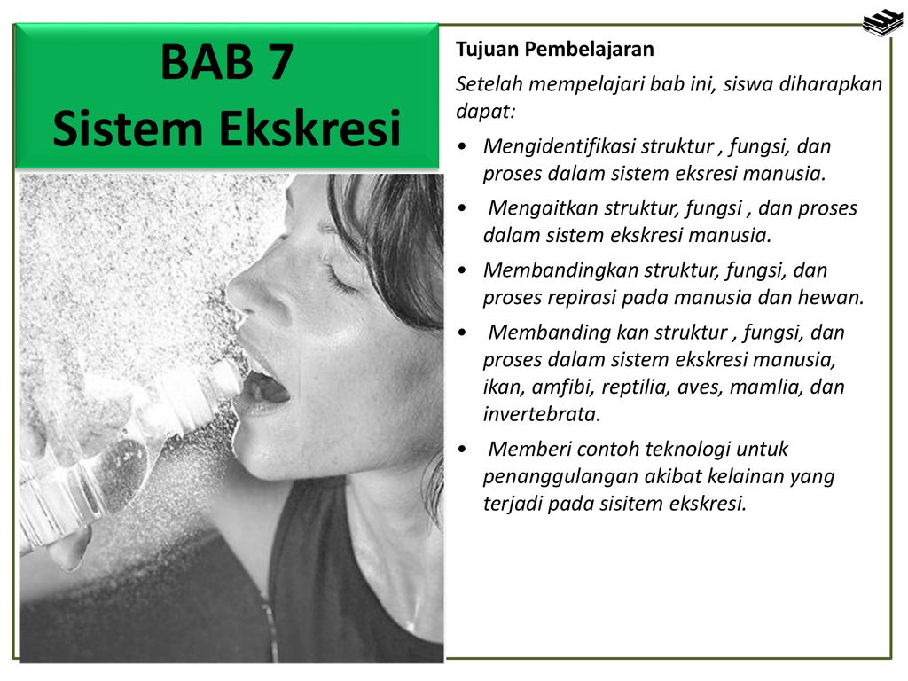 Detail Contoh Sistem Ekskresi Nomer 55