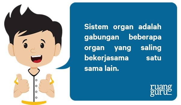 Detail Contoh Sistem Organ Nomer 46