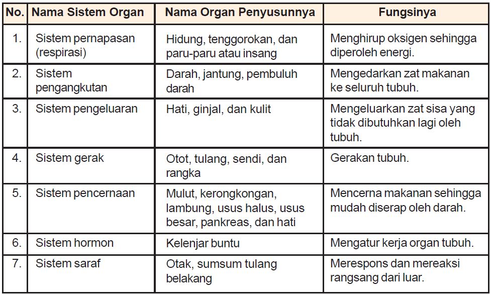 Detail Contoh Sistem Organ Pada Tumbuhan Nomer 10