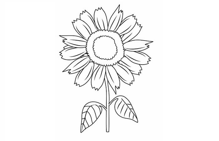 Detail Contoh Sketsa Gambar Bunga Yang Mudah Digambar Nomer 5