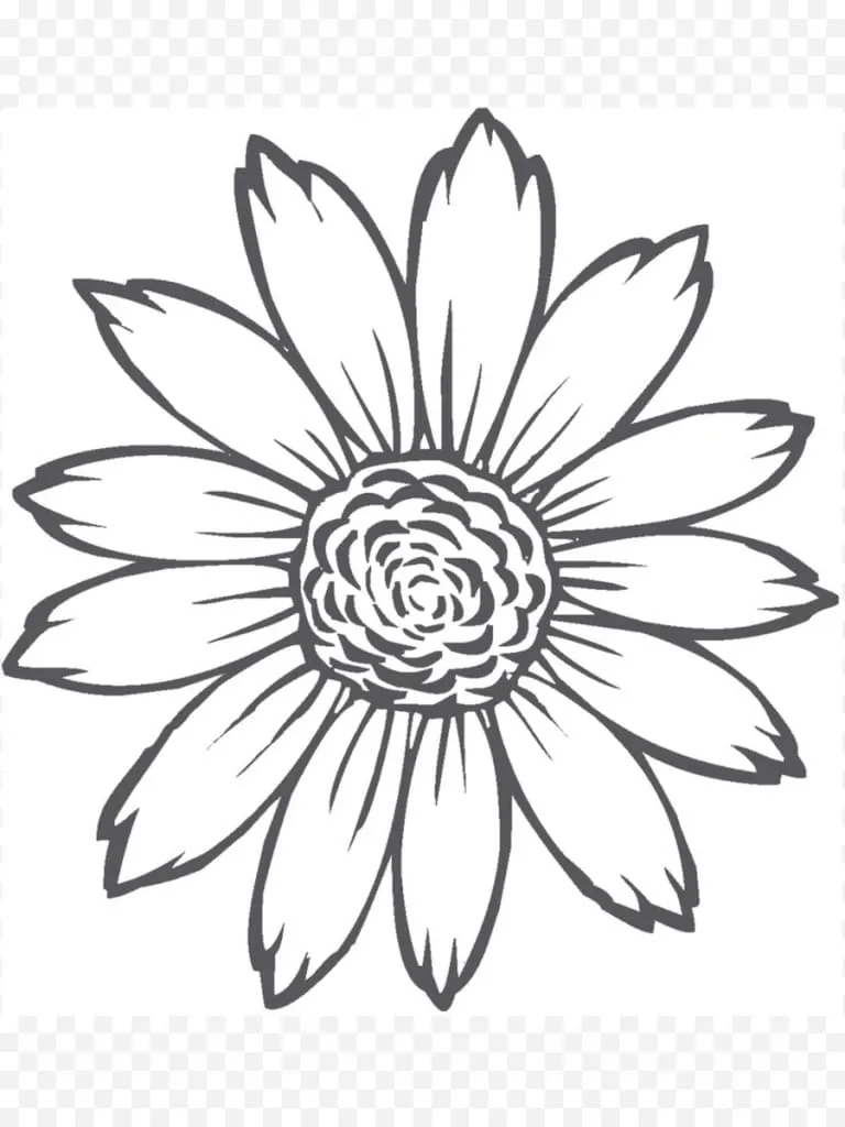 Detail Contoh Sketsa Gambar Bunga Yang Mudah Digambar Nomer 46