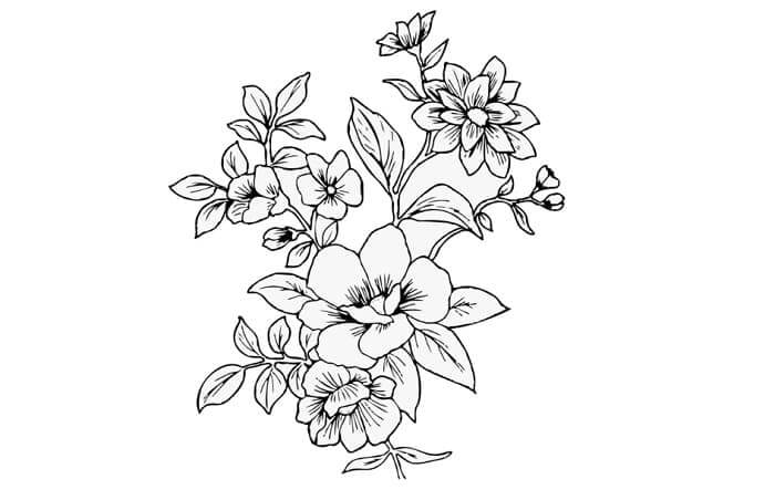 Detail Contoh Sketsa Gambar Flora Nomer 6