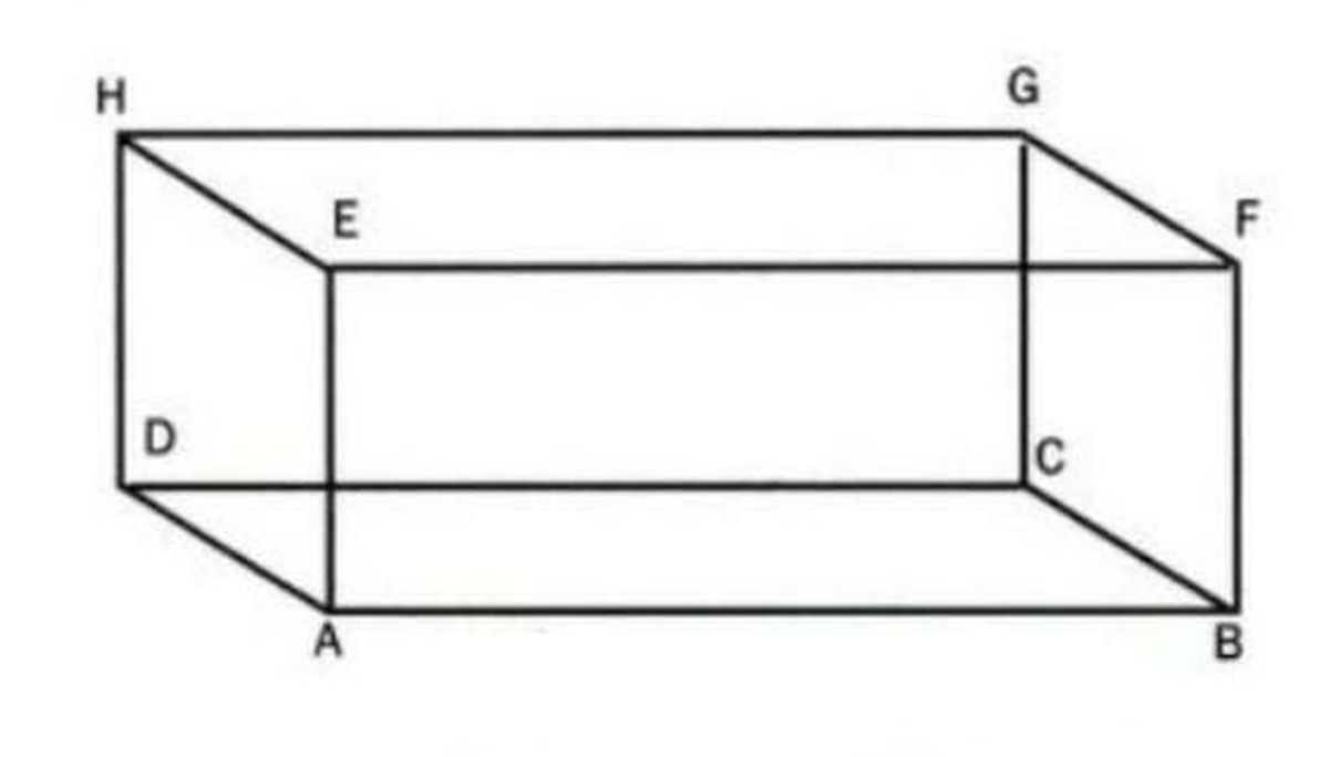 Detail Contoh Soal Balok Nomer 13