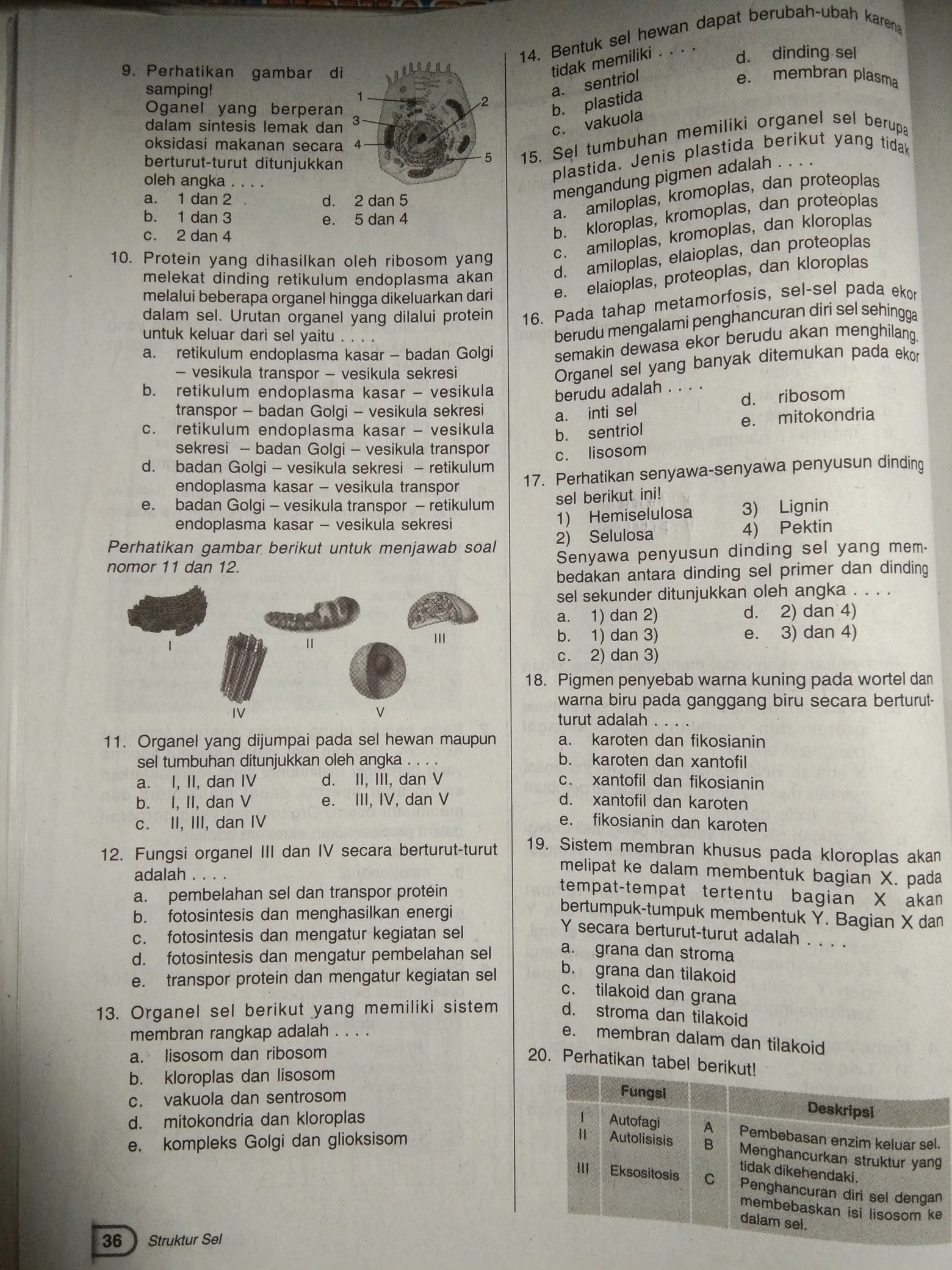 Detail Contoh Soal Biologi Kelas 11 Semester 2 Nomer 30