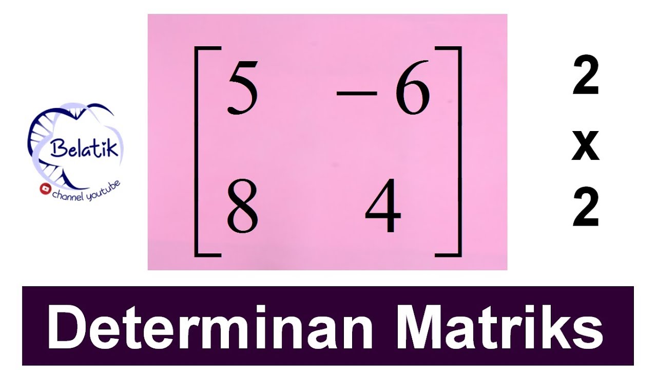 Detail Contoh Soal Determinan Matriks 2x2 Nomer 4