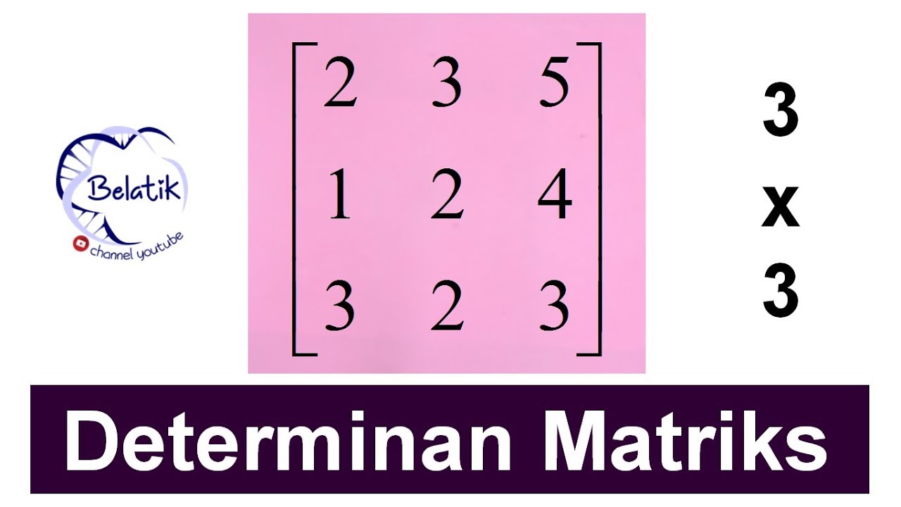 Detail Contoh Soal Determinan Matriks Ordo 3x3 Nomer 31