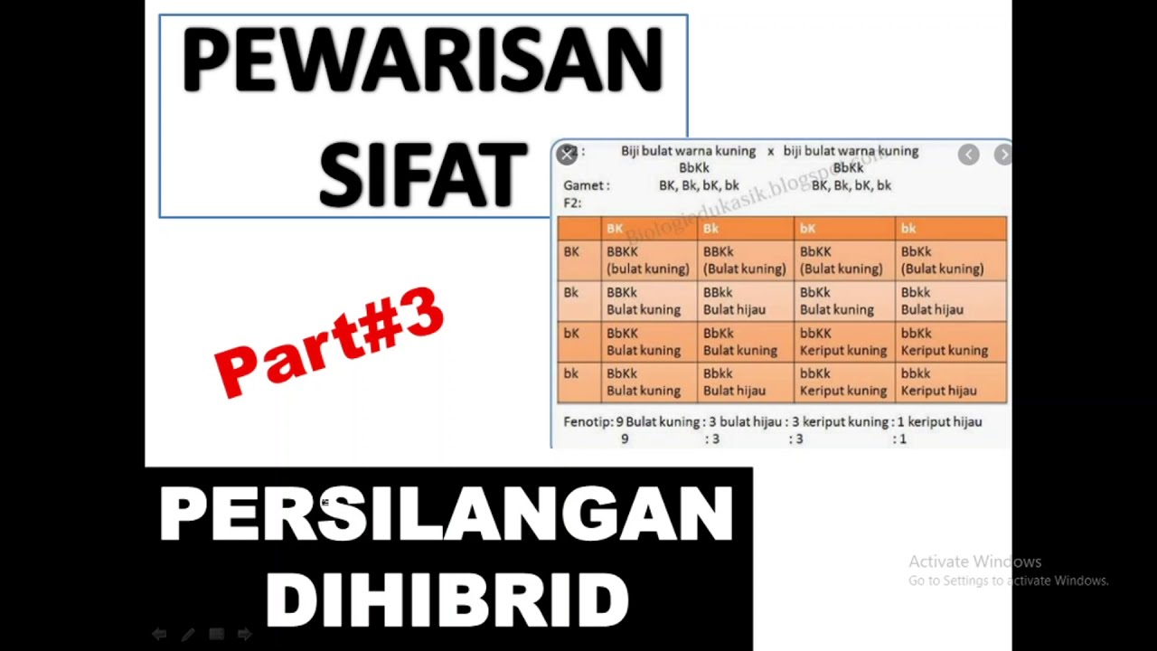 Detail Contoh Soal Dihibrid Nomer 16