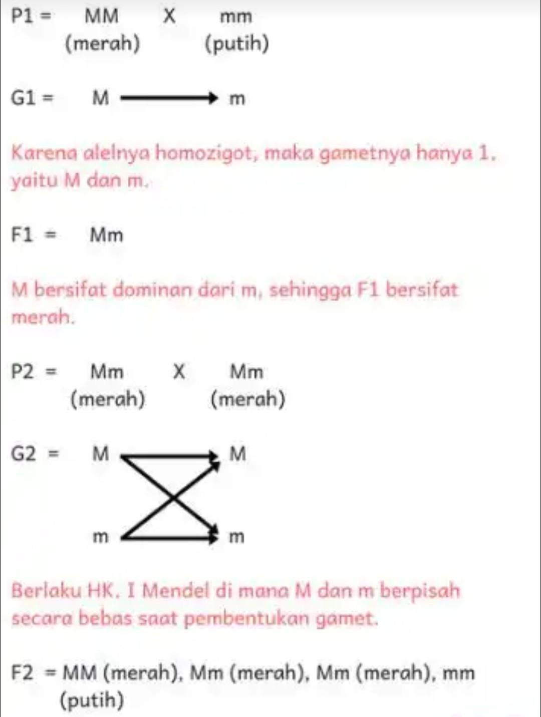 Detail Contoh Soal Dihibrid Nomer 29