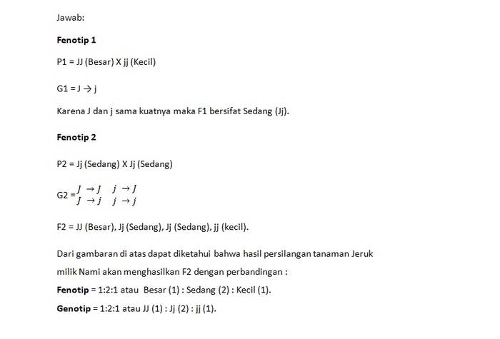 Detail Contoh Soal Dihibrid Nomer 8