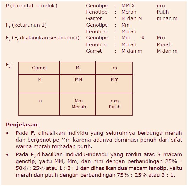 Detail Contoh Soal Dihibrid Nomer 10