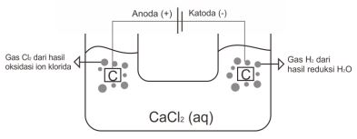 Detail Contoh Soal Elektrolisis Nomer 24