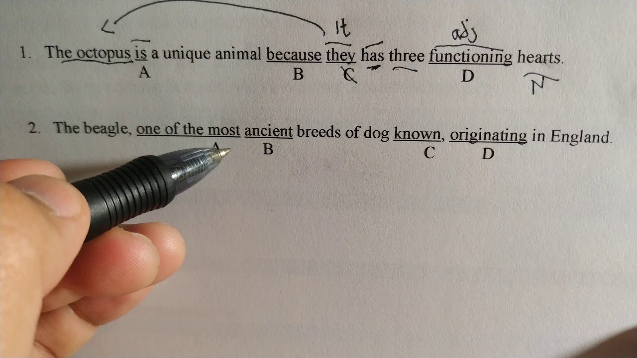 Detail Contoh Soal Error Recognition Nomer 29