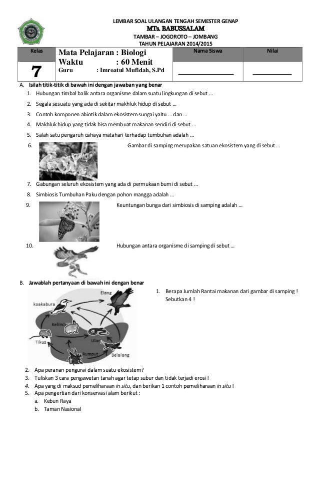 Detail Contoh Soal Esai Nomer 31