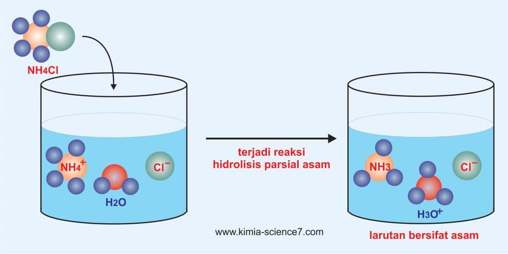 Detail Contoh Soal Hidrolisis Nomer 44