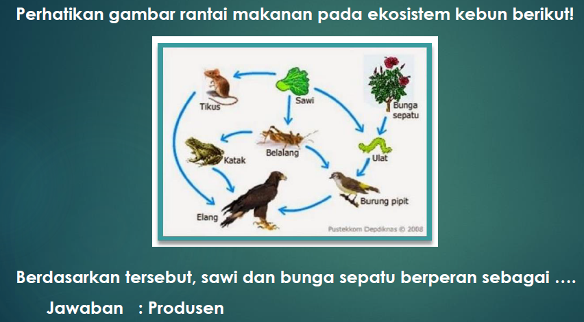 Detail Contoh Soal Isian Singkat Nomer 51