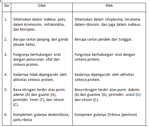 Detail Contoh Soal Isian Singkat Nomer 54