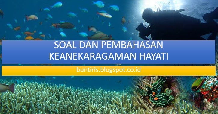 Detail Contoh Soal Keanekaragaman Hayati Nomer 29