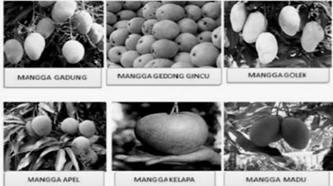 Detail Contoh Soal Keanekaragaman Hayati Nomer 47