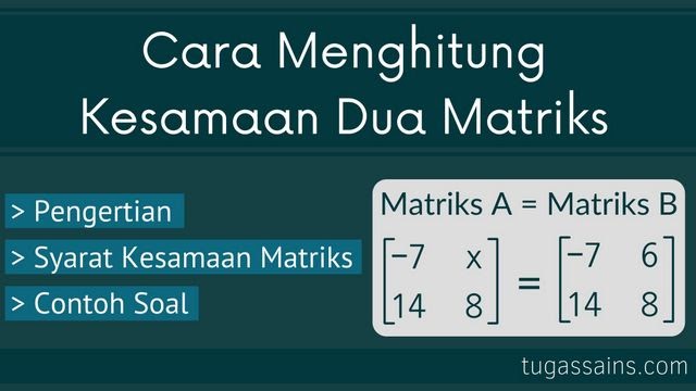 Detail Contoh Soal Kesamaan Matriks Nomer 25