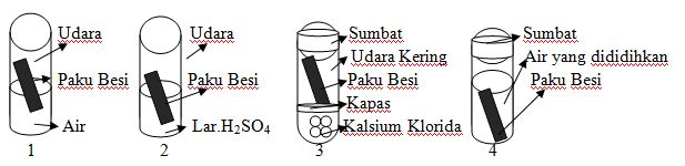 Detail Contoh Soal Korosi Nomer 37