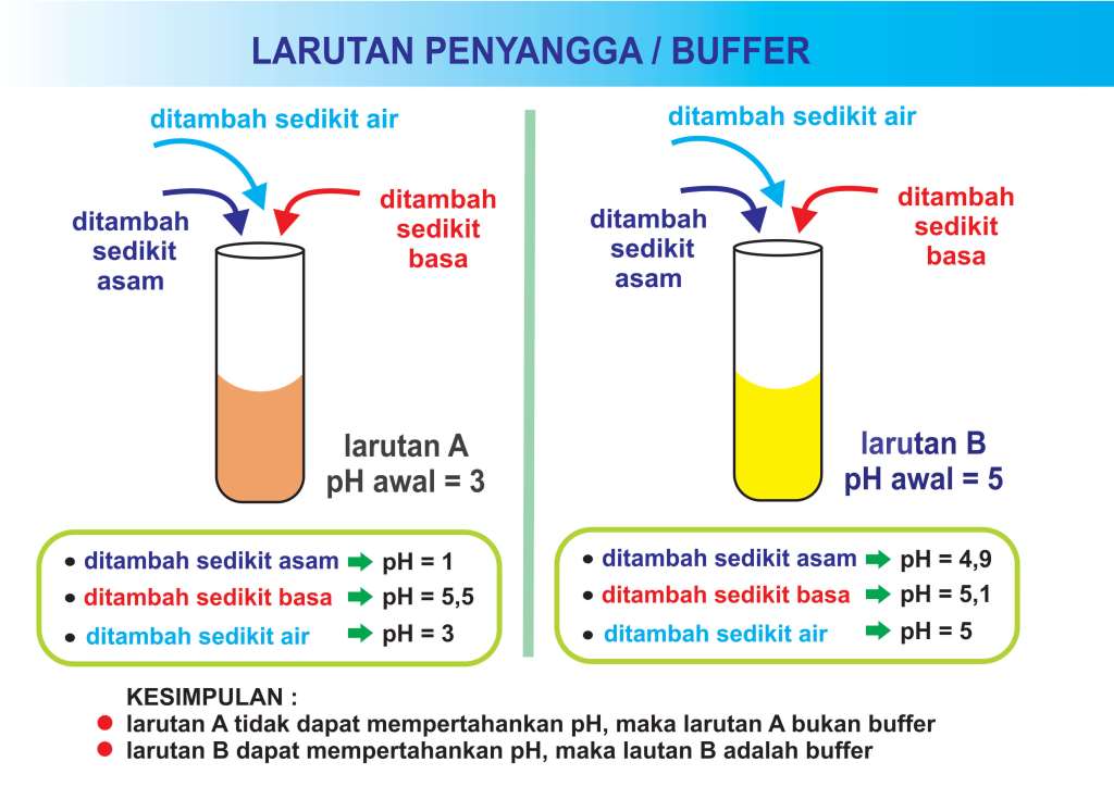 Detail Contoh Soal Larutan Penyangga Asam Nomer 35